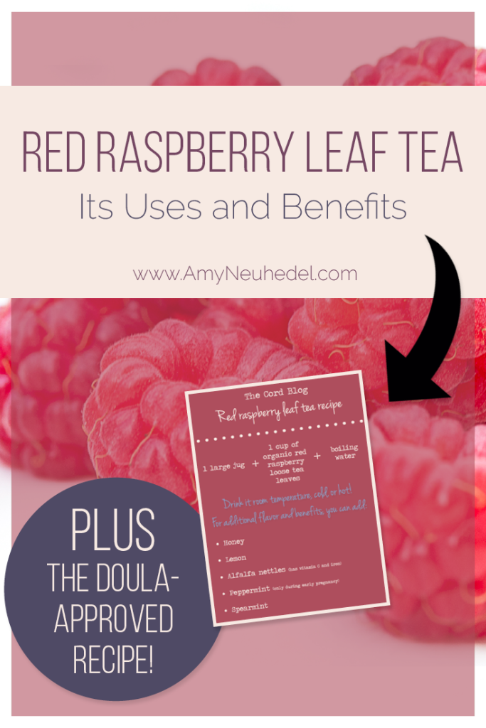 Red raspberry leaf tea The recipe, uses, and benefits